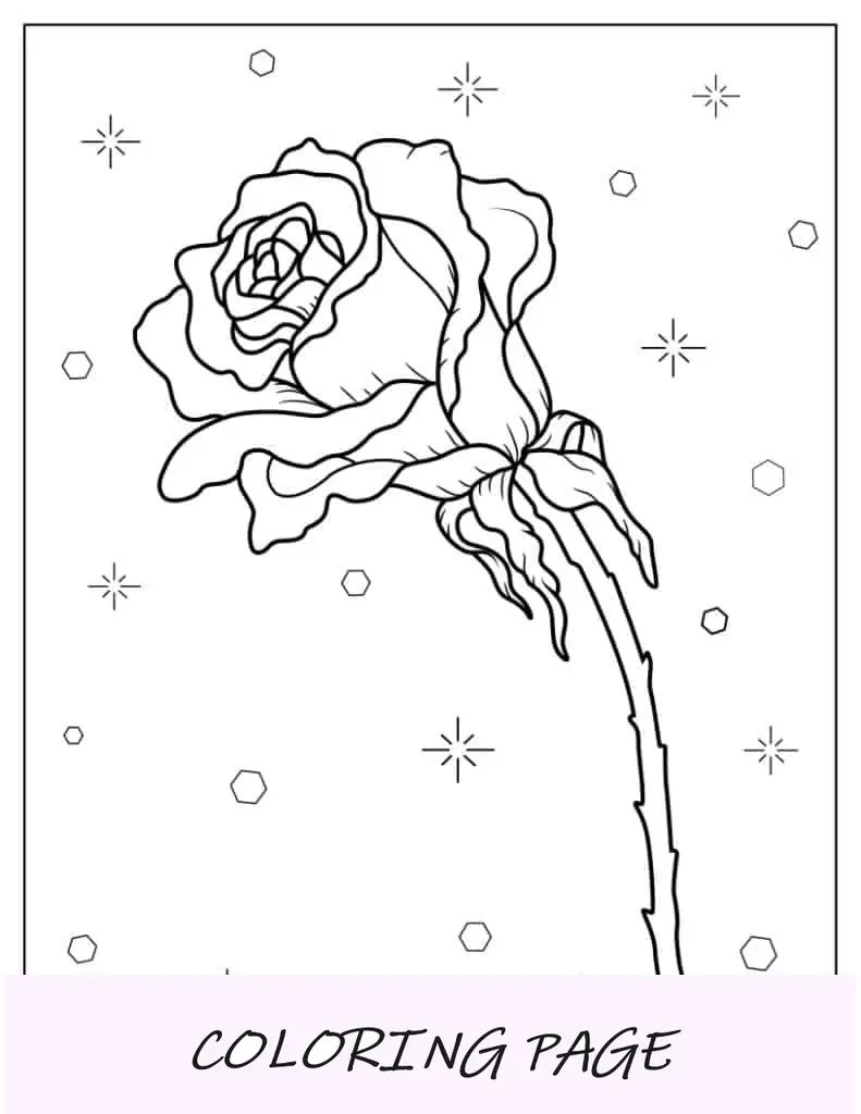 Contorno sencillo de una rosa