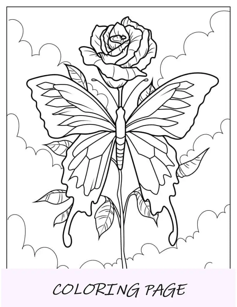 Mariposa descansando sobre tallo de rosa