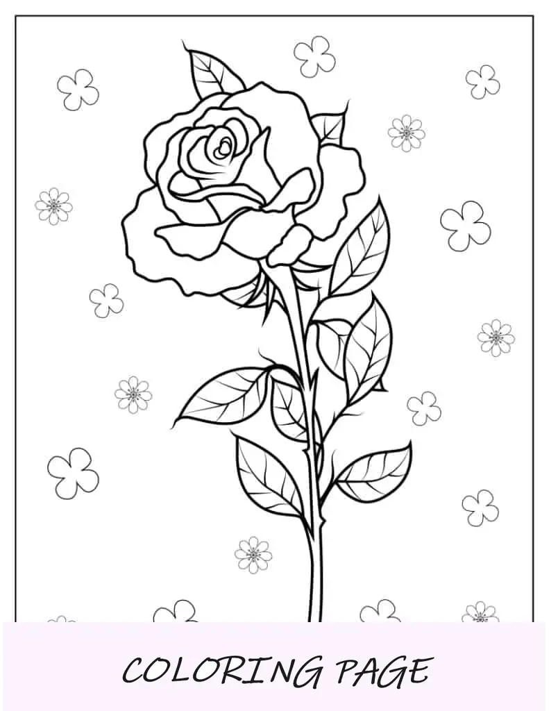 Rosa Con Espinas Para Colorear