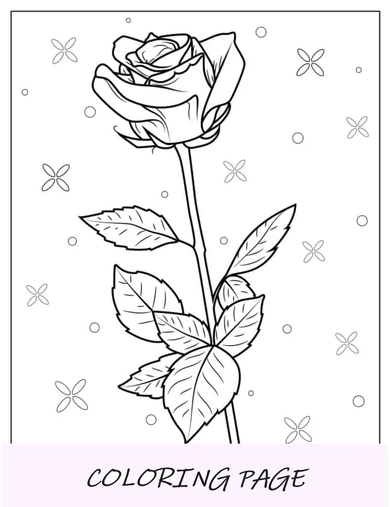 Hoja para colorear de tallo de rosa