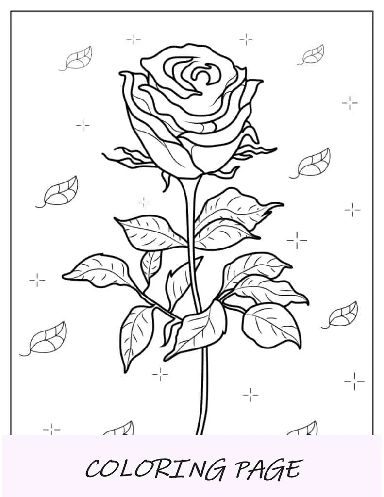Página para colorear de rosa realista