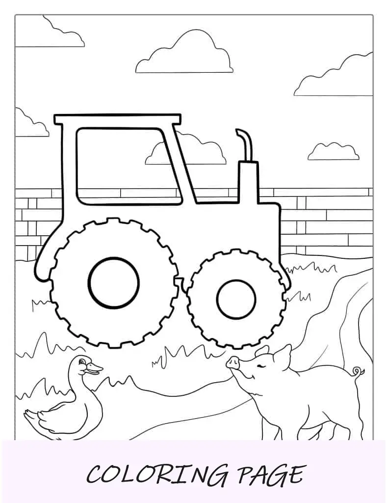 Traktor auf dem Feld mit Schweinen