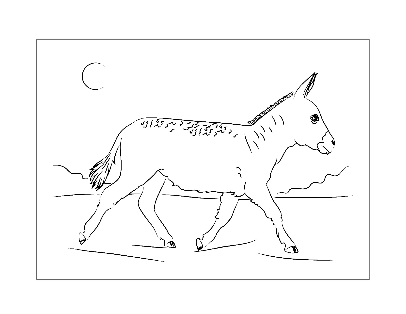 Donkey Running Coloring Page