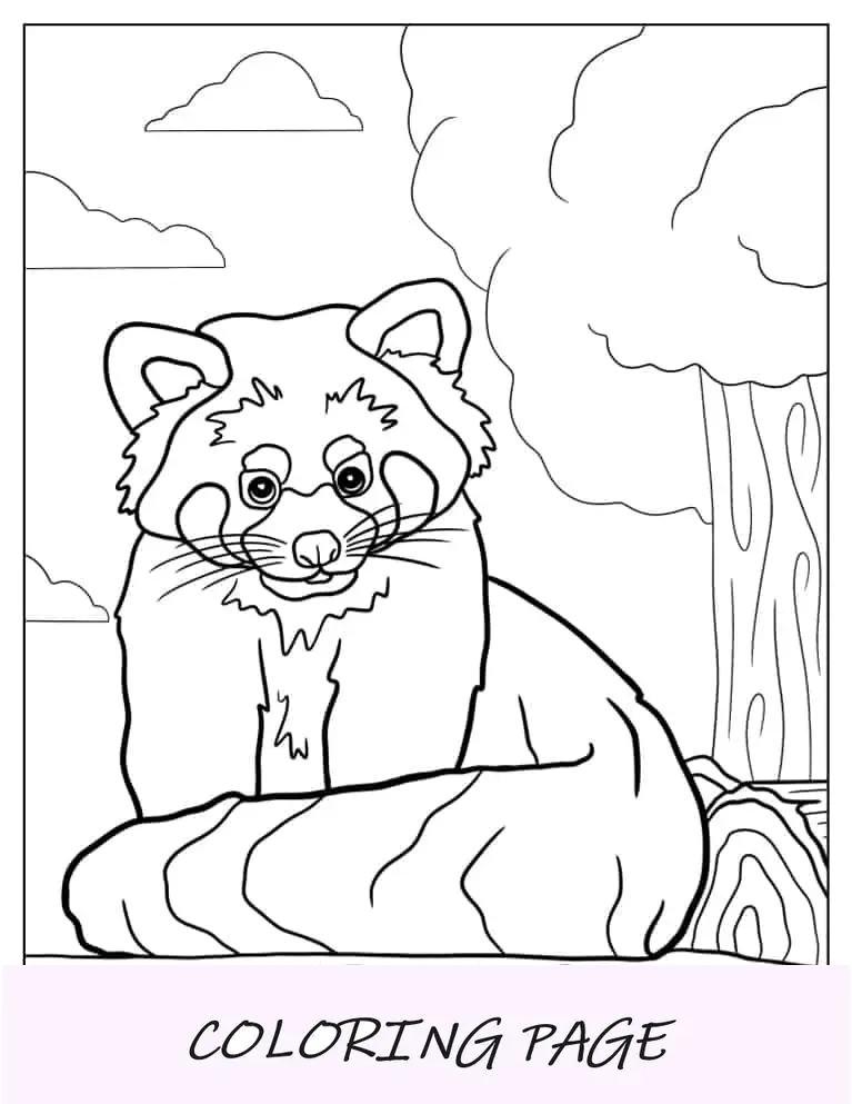 Panda rosso semplice cartone animato da colorare per bambini in età prescolare