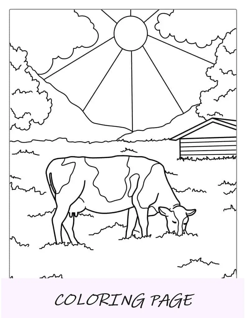 Página para colorir de vaca margarida pastando no campo