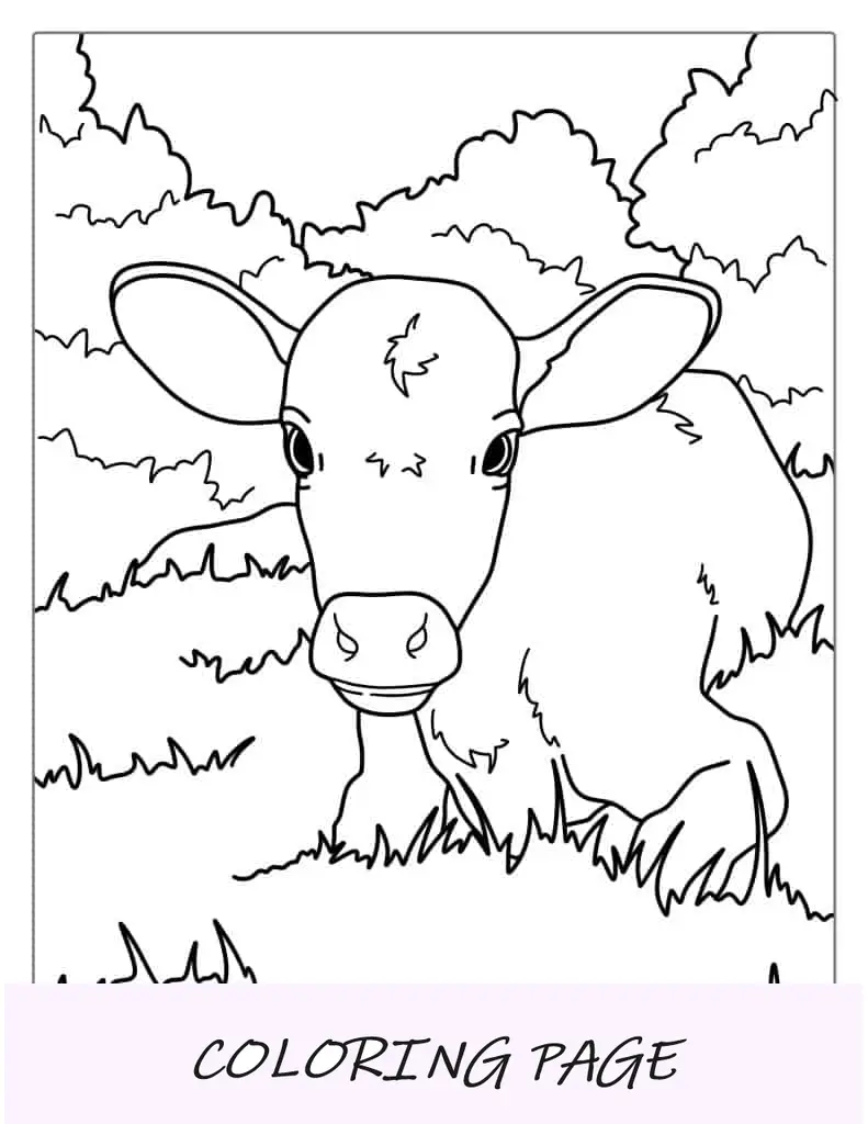 Desenho de vaca bebê descansando na grama para colorir