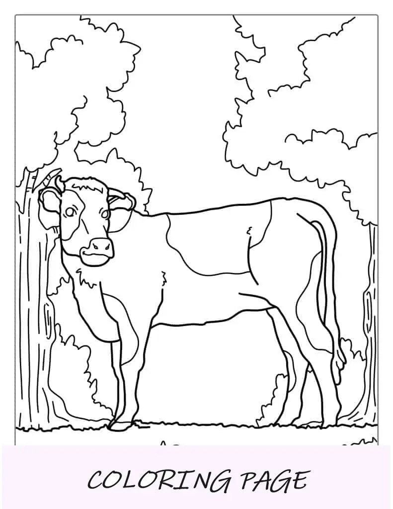 Desenho de Vaca feliz em pé na floresta para colorir