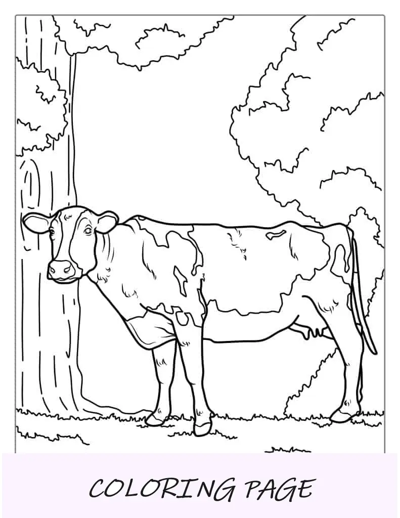 Vaca leiteira em pé no campo_