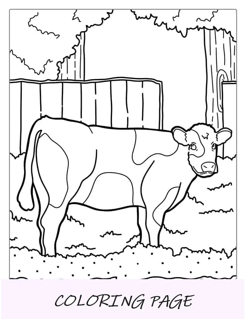Folha Para Colorir Margarida Vaca Em Pé No Paddock