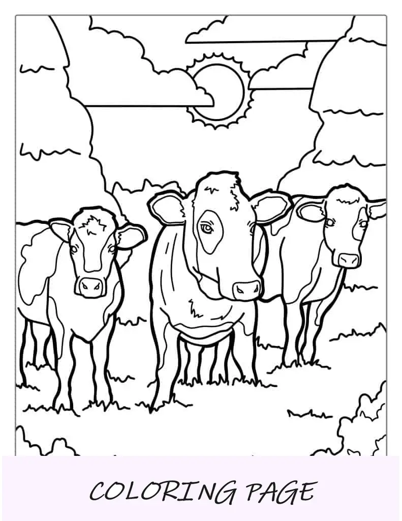 Rebanho de vacas Jersey em pé no campo para colorir