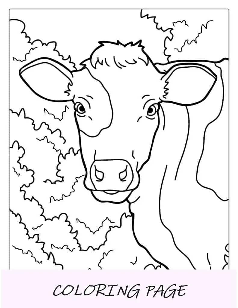 Vaca sorridente para colorir