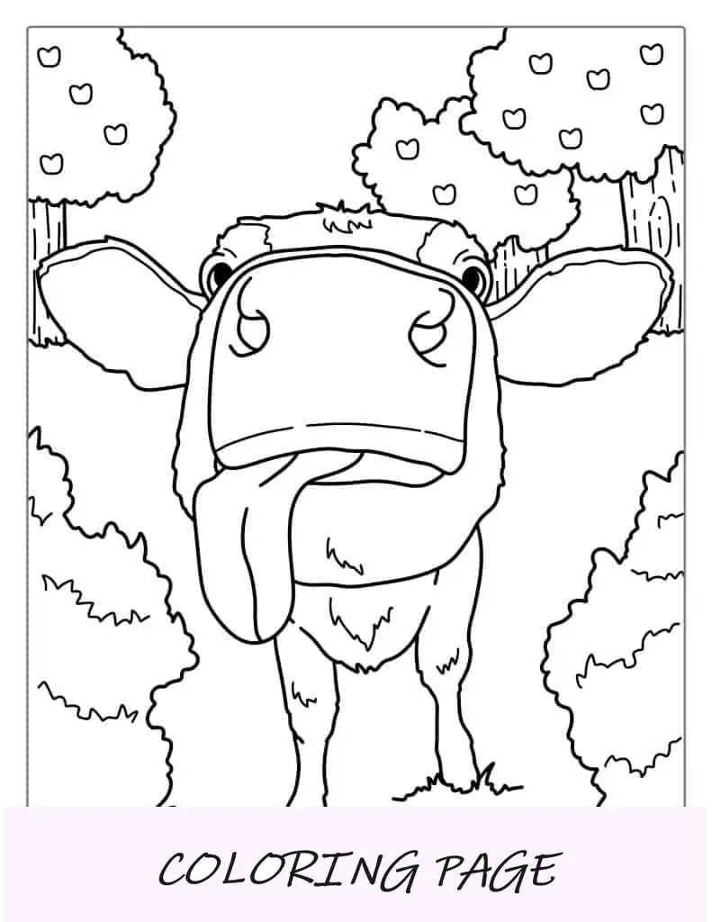 Desenho para colorir de nariz de vaca grande e língua de fora