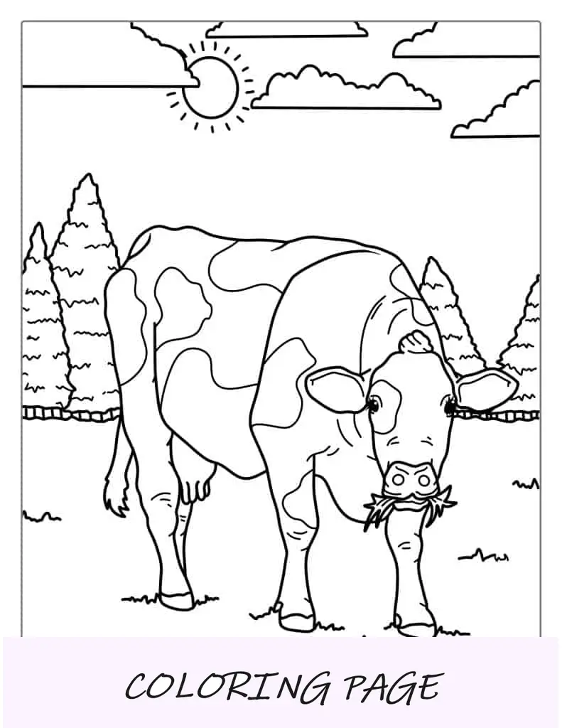 Página para colorir de vaca holandesa comendo grama na fazenda