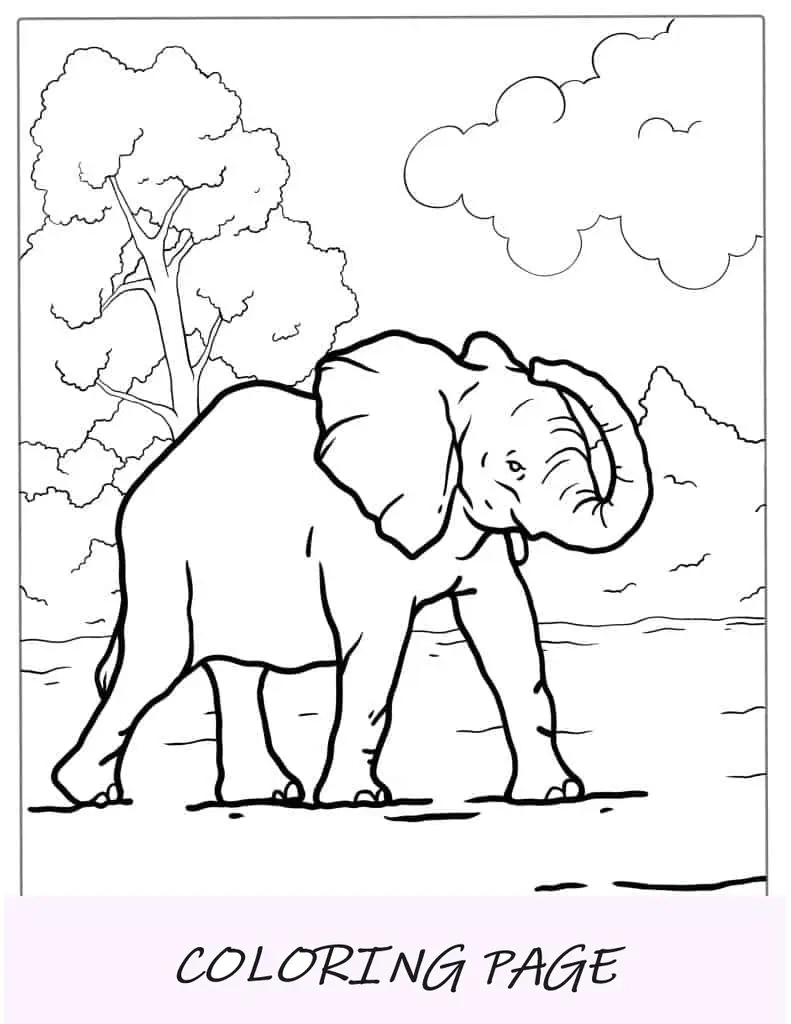 Elefante com coloração de tromba grande