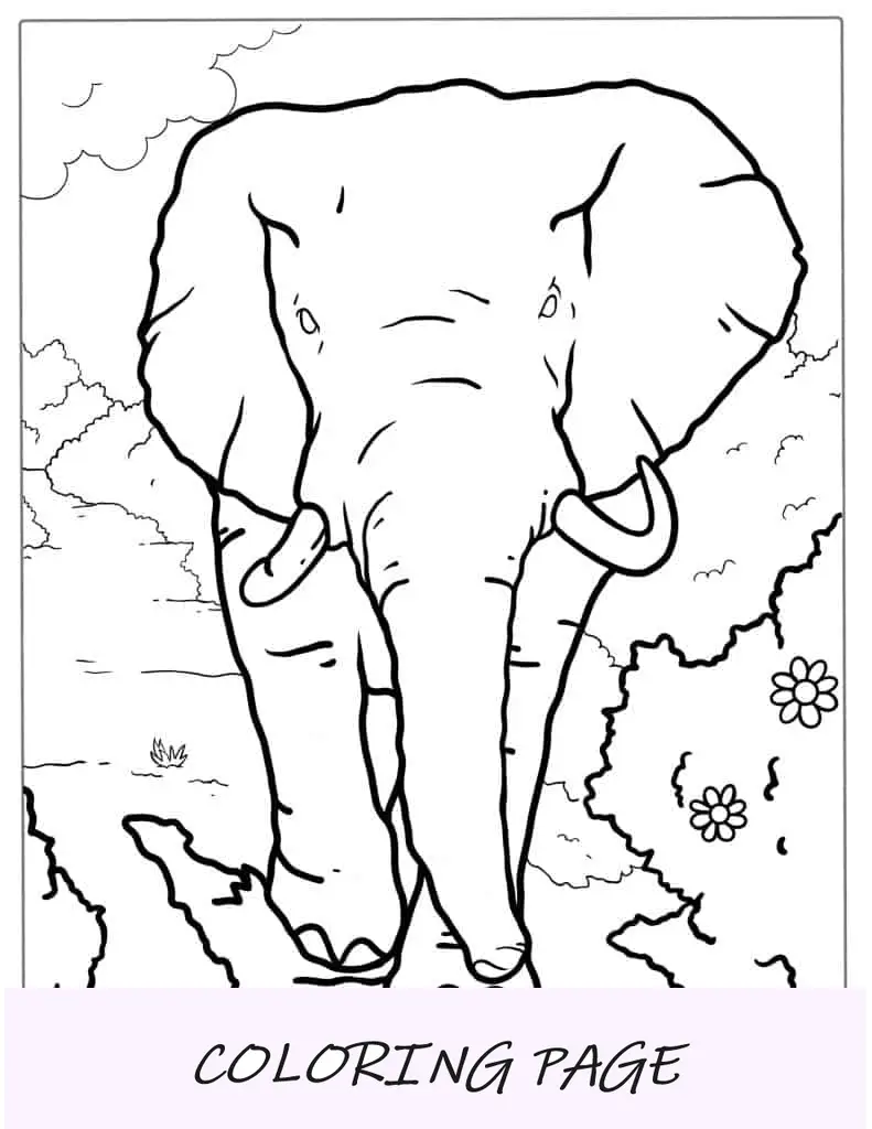 Grande elefante indiano na natureza
