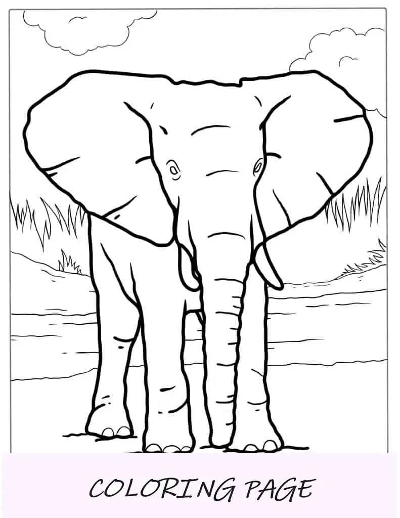 Folha para colorir de elefante fofo com orelhas grandes