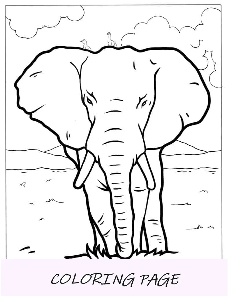 Página para colorir de elefante majestoso com pássaros na cabeça