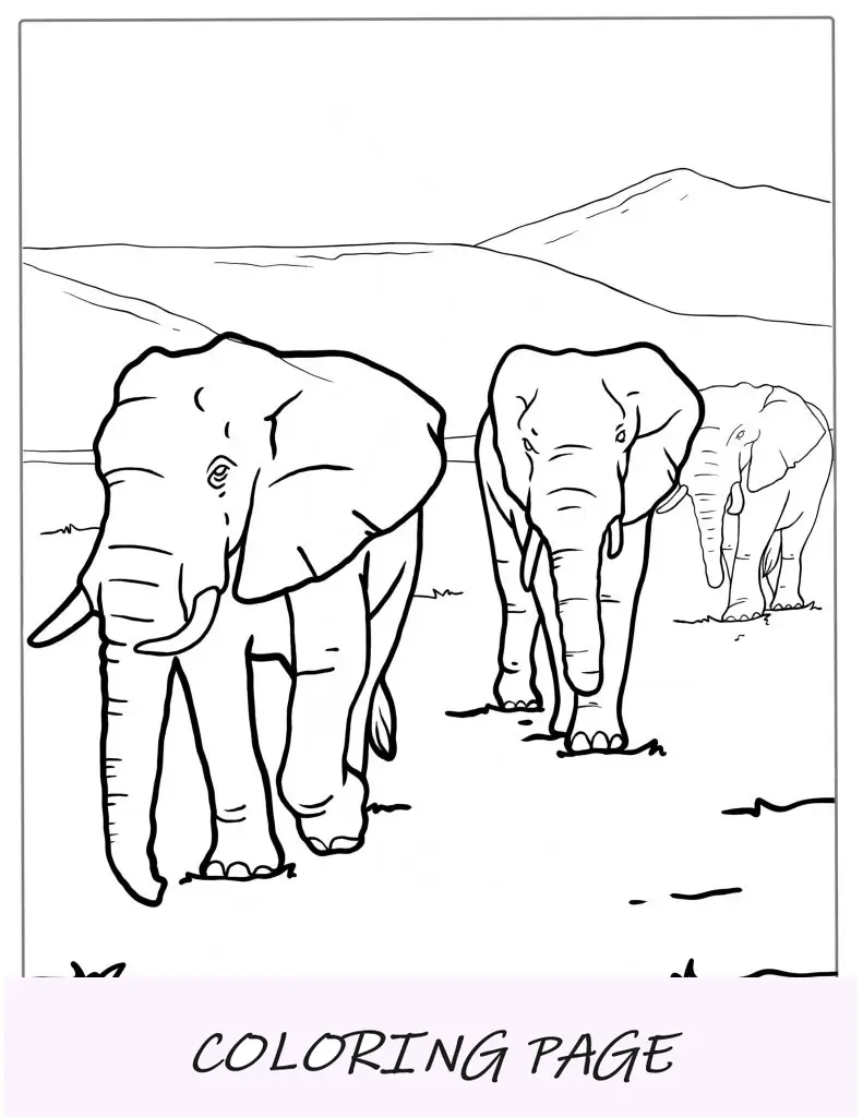 Manada de elefantes nas planícies para colorir