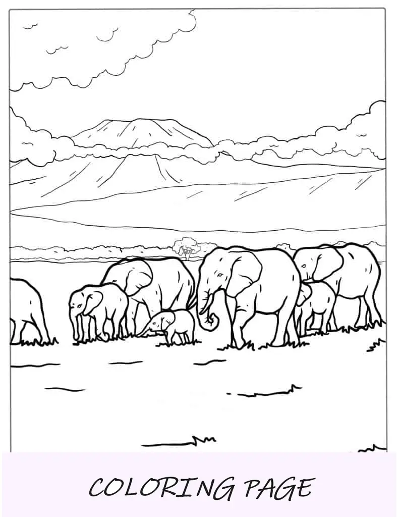 Página para colorir de manada de elefantes para crianças