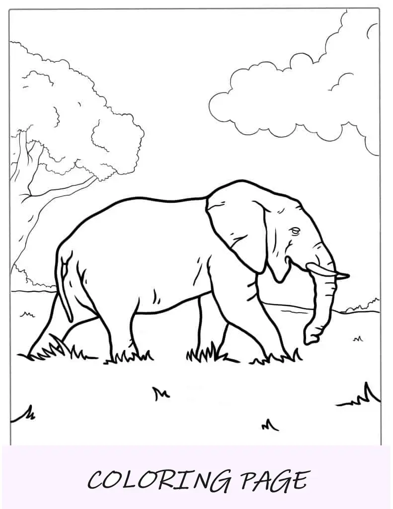 Vista lateral do elefante asiático para colorir