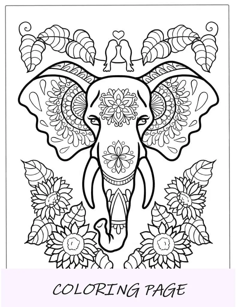 Coloração detalhada de elefante mandala para adultos