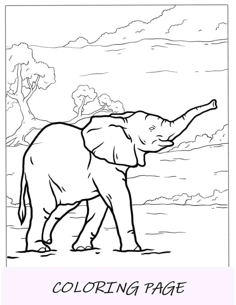Elefante adulto caminhando em um safari africano