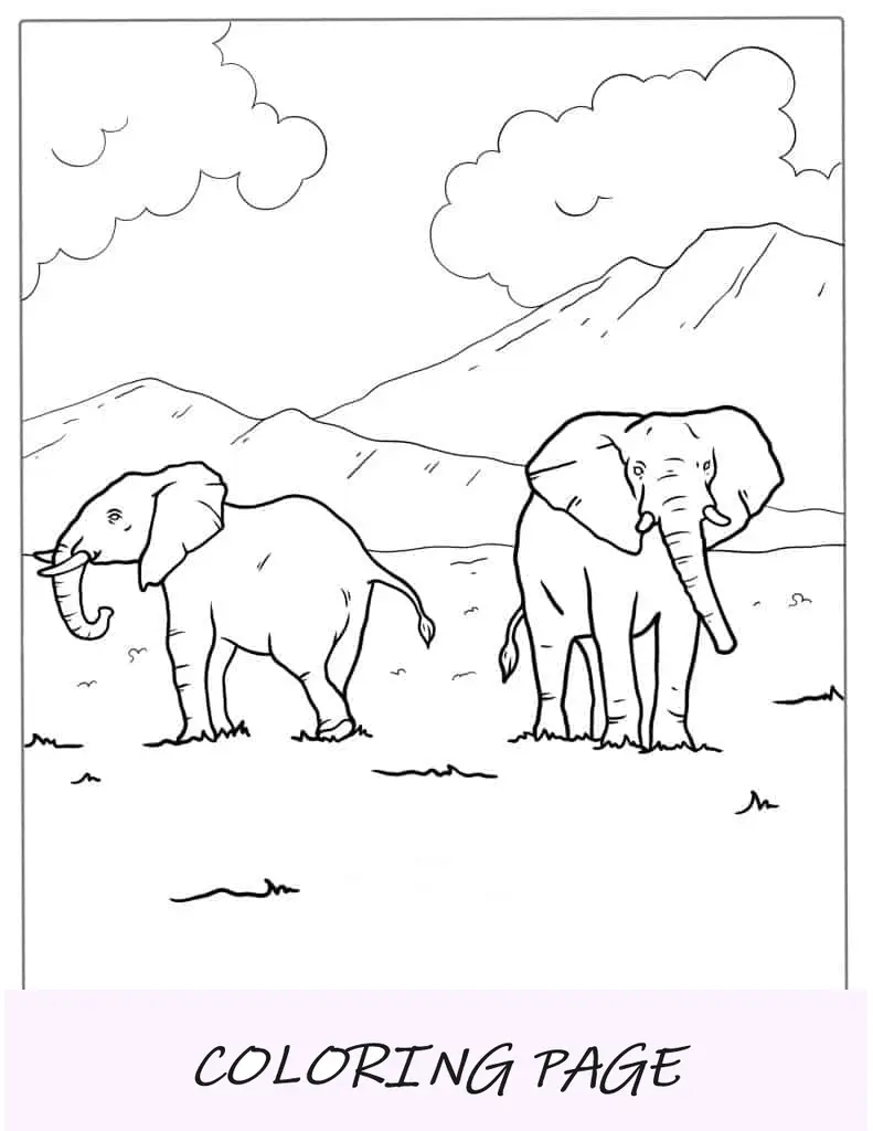 Dois elefantes andando na natureza para colorir