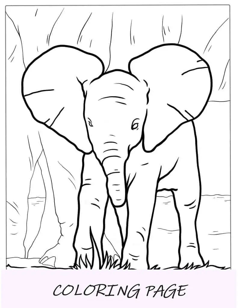 Página para colorir de elefante recém-nascido com mãe