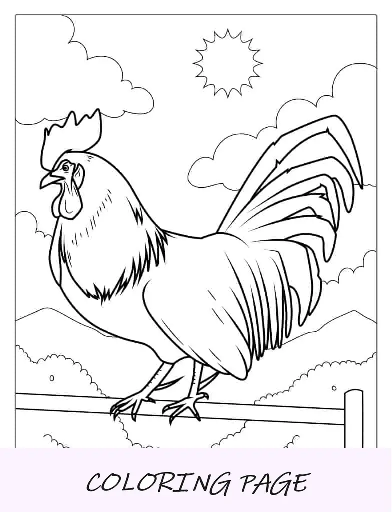 Página para colorear de un gallo realista
