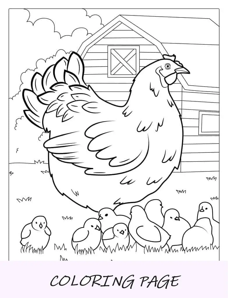 Gallina con pollitos recién nacidos para colorear