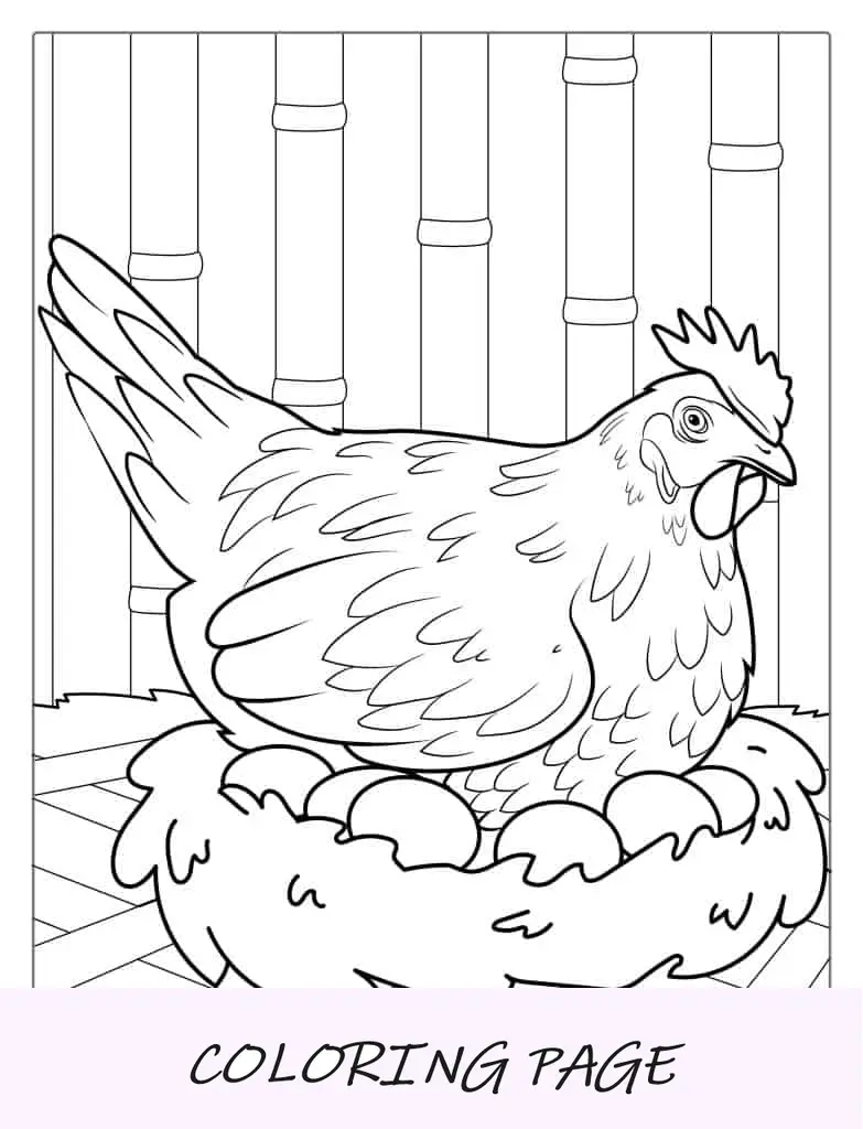 Pollo anidando en huevos Página para colorear