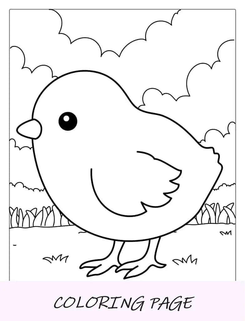 Lindo pollito para colorear para niños