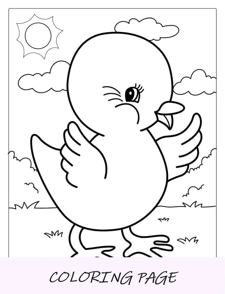 Hoja para colorear de pollito adorable para niños