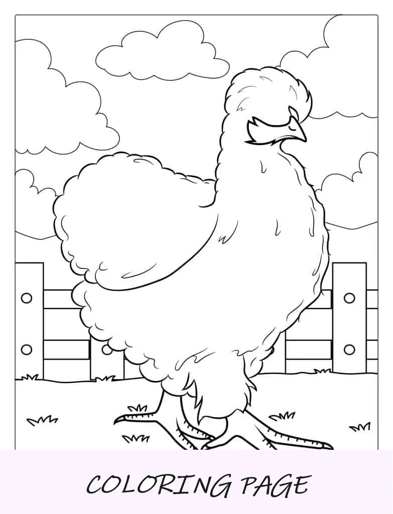 Pollo De Seda Chino Página Para Colorear