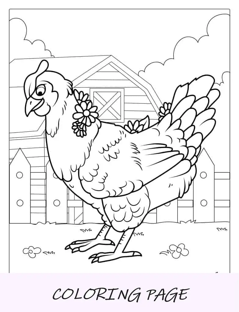 Pollo Brahma Página Para Colorear