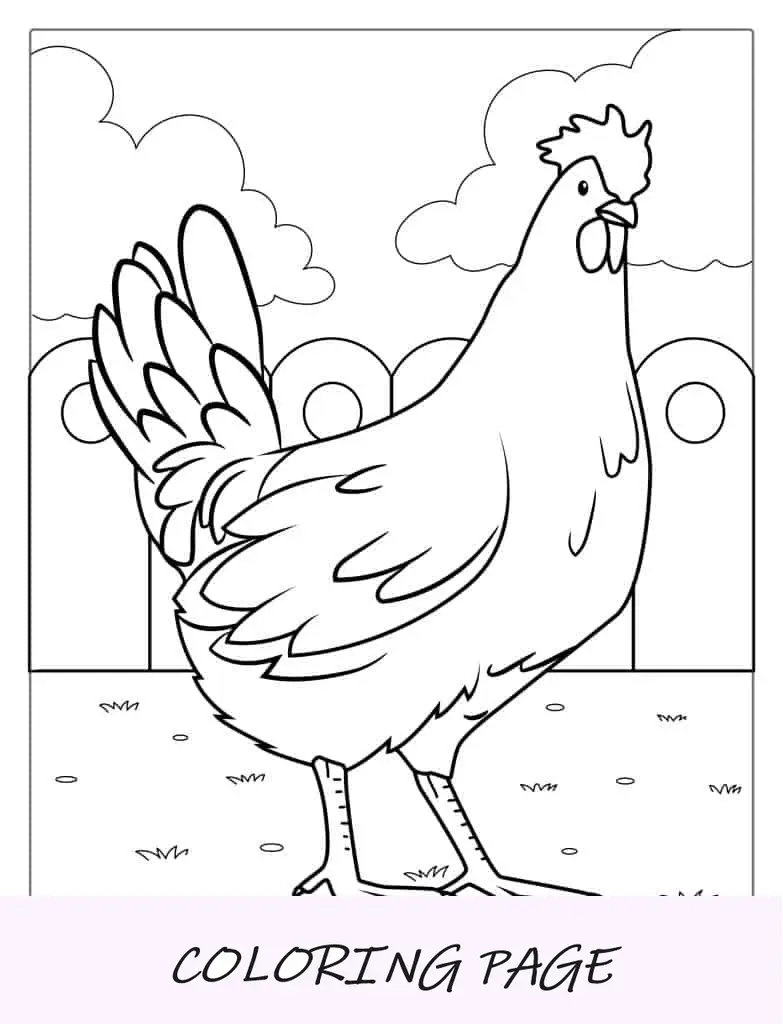 Contorno simple de un pollo para colorear