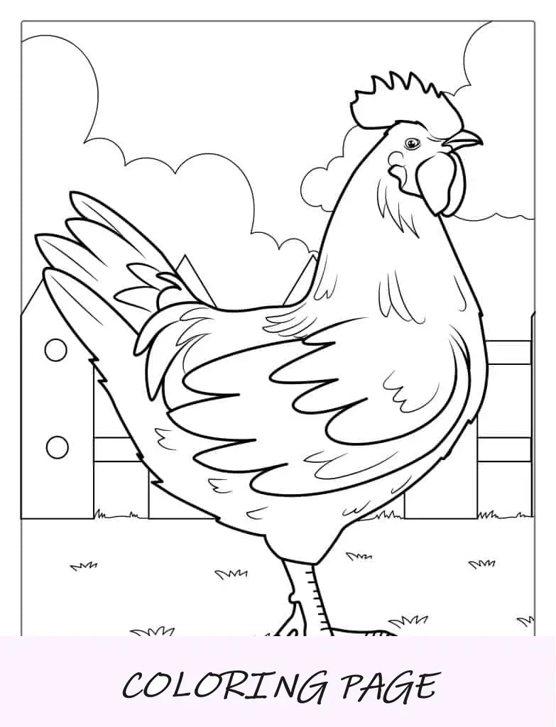 Imagen De Gallo De Granja Para Colorear