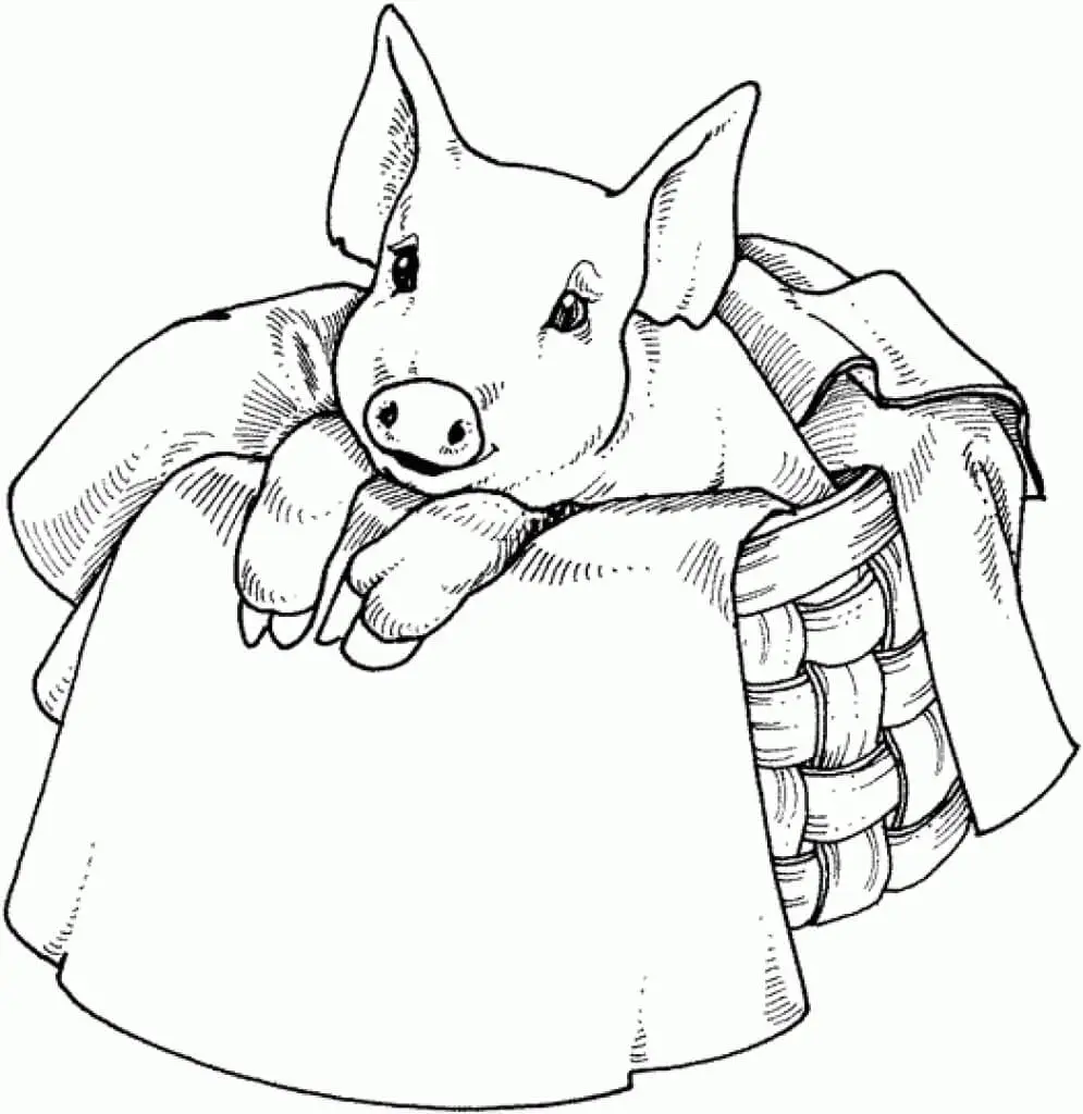 Mom And Baby Pigs Coloring Page