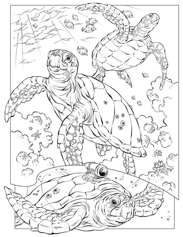 Sea Turtles Coloring Pages