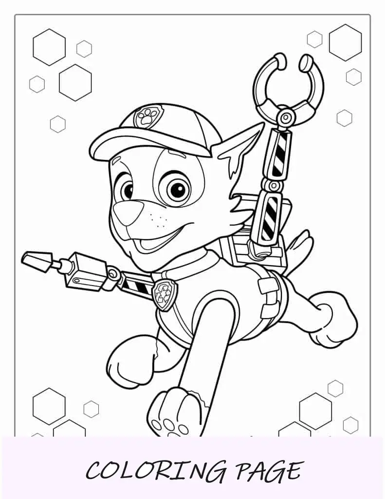 Riciclaggio del personaggio Rocky di Paw Patrol
