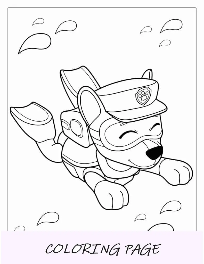 Inseguimento da Paw Patrol che nuota in acqua