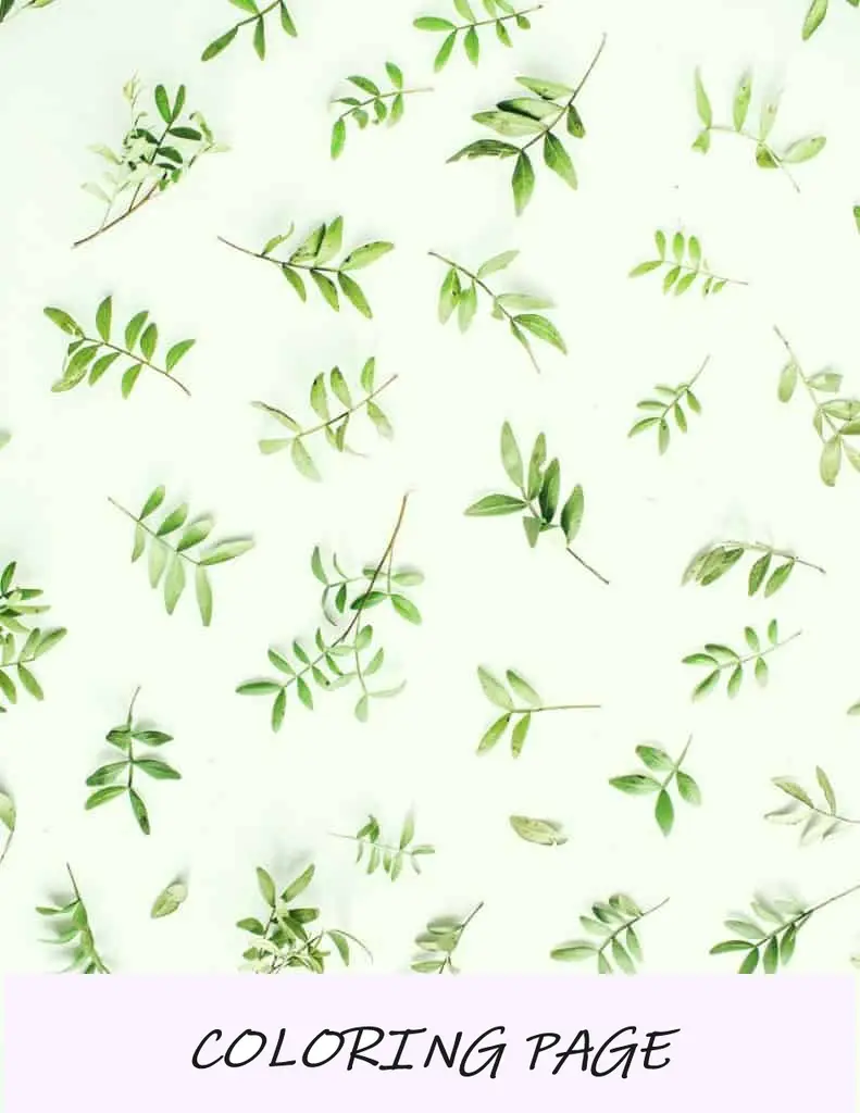Papel de embrulho natural para imprimir