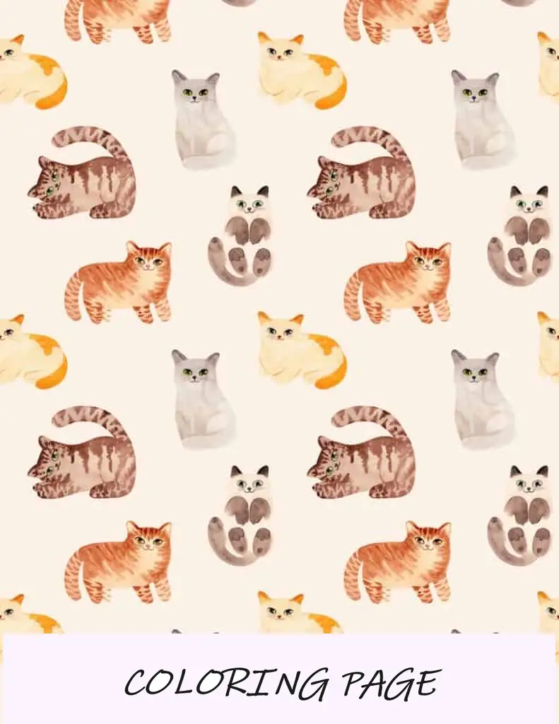 Papel de embrulho para impressão de gatos-aniversário
