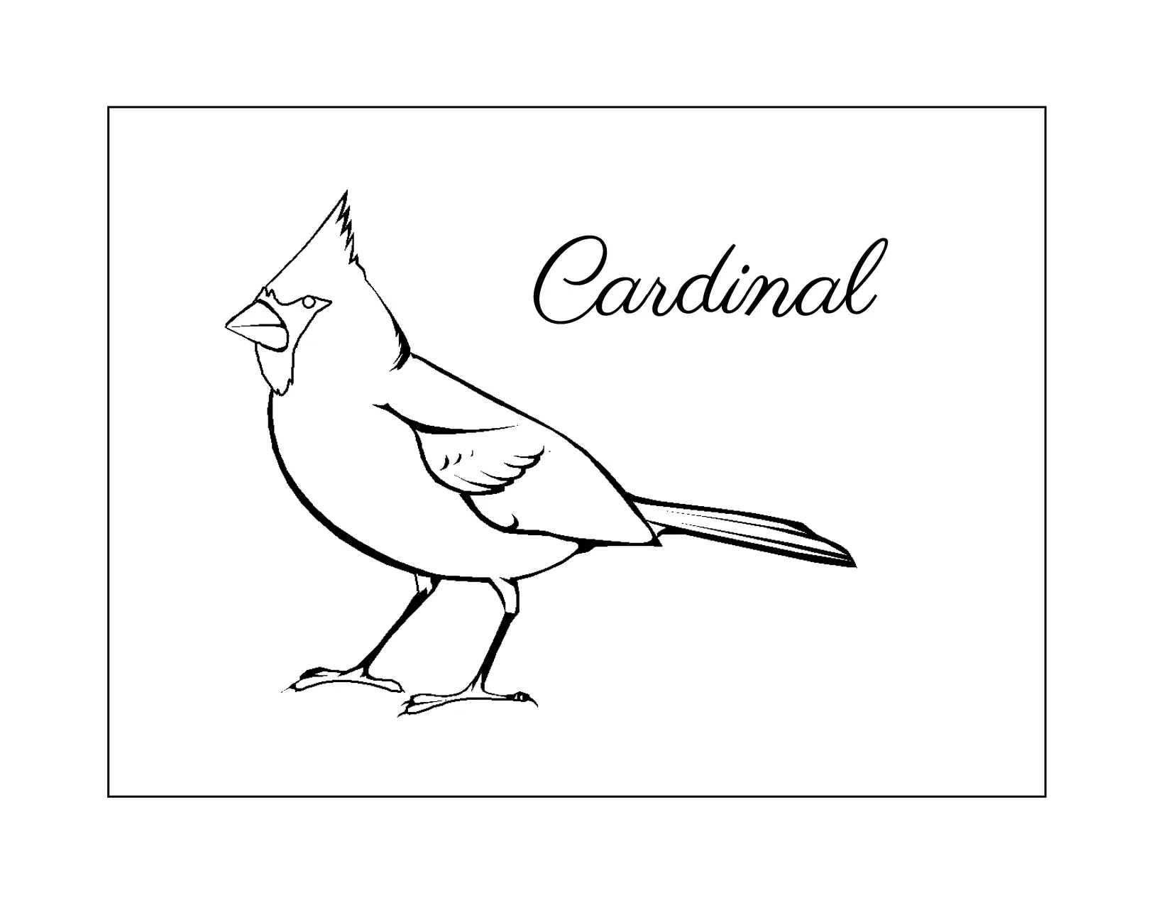 Cardinal Coloring Pages 1