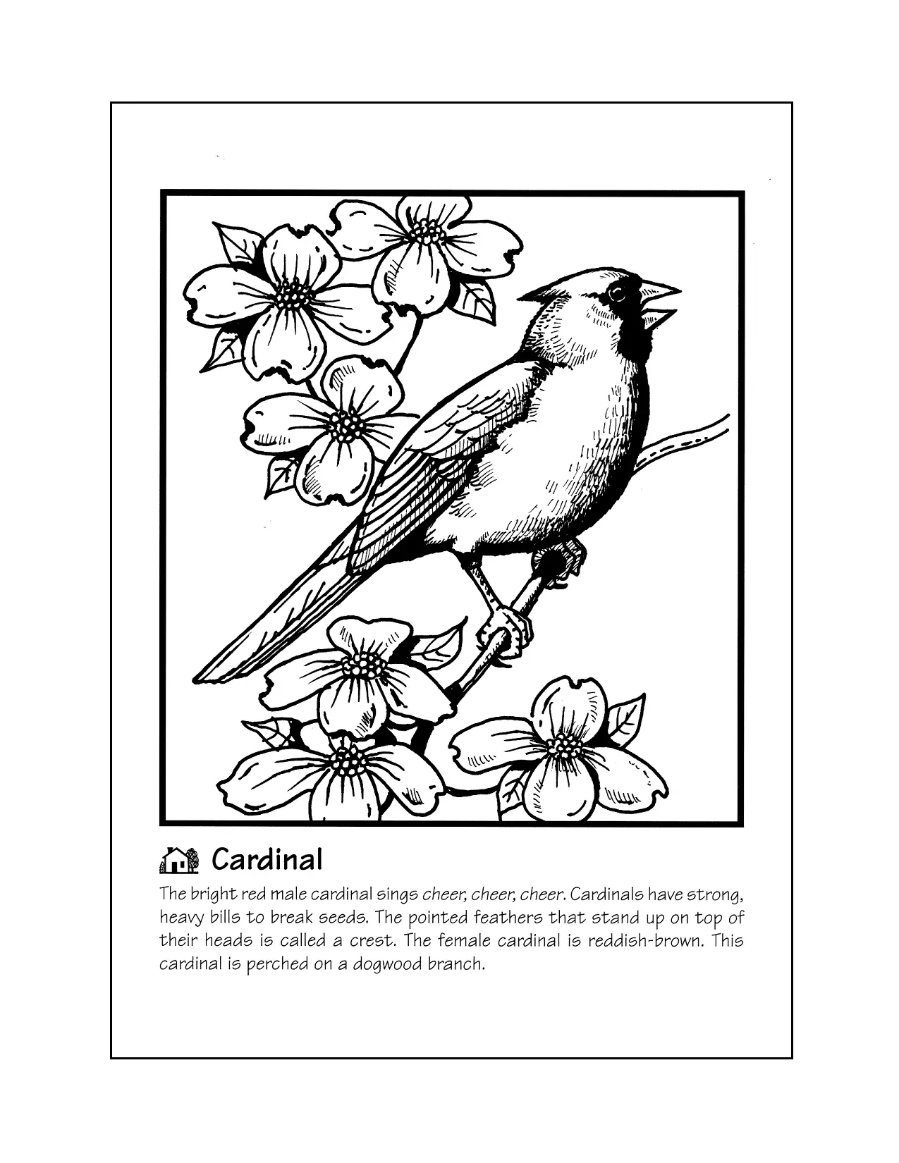 Cardinal Worksheet