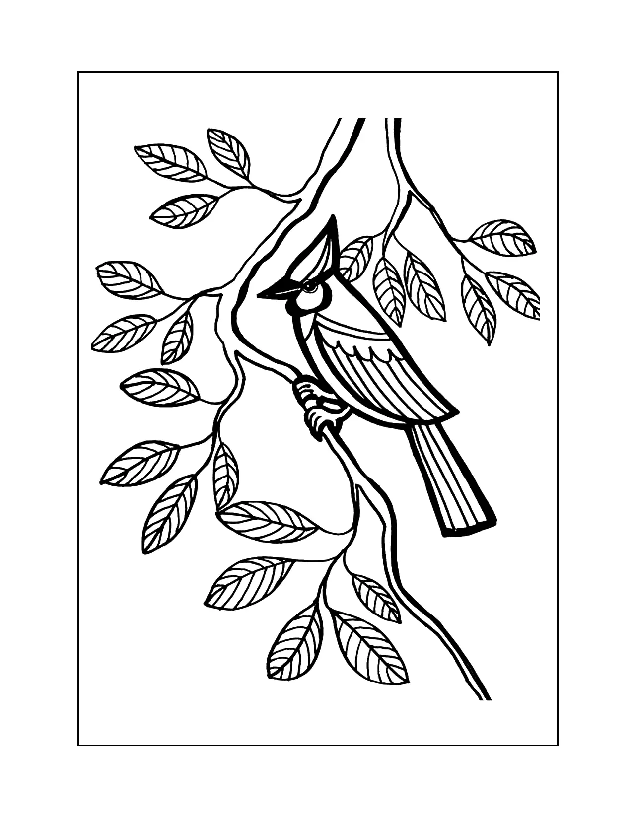 Cardinal In A Tree Coloring Pages