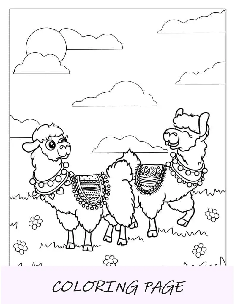Duas lhamas fofas em um campo de flores