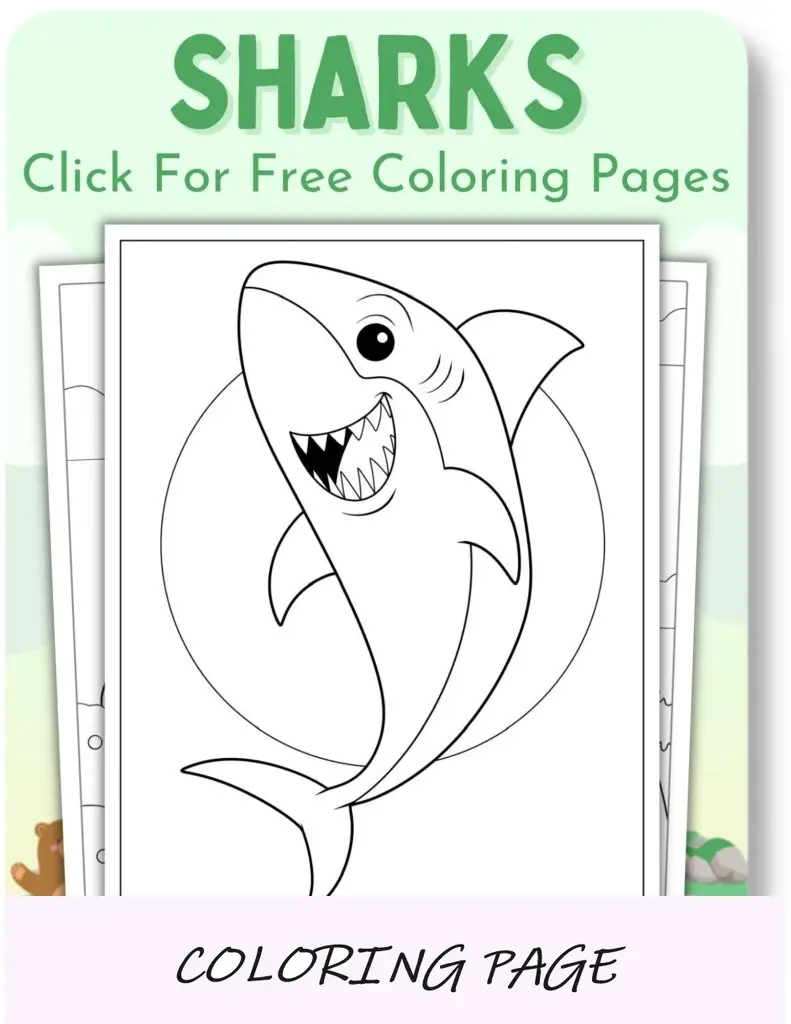 Desenhos para colorir de tubarões para animais