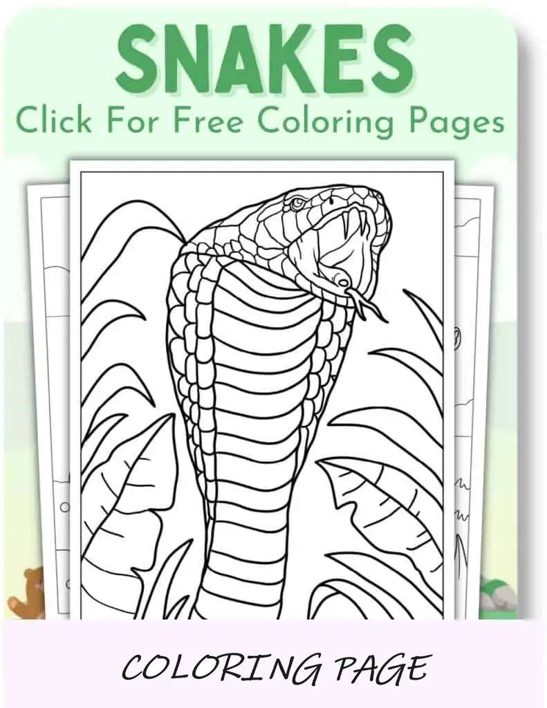 Desenhos para colorir de cobras__