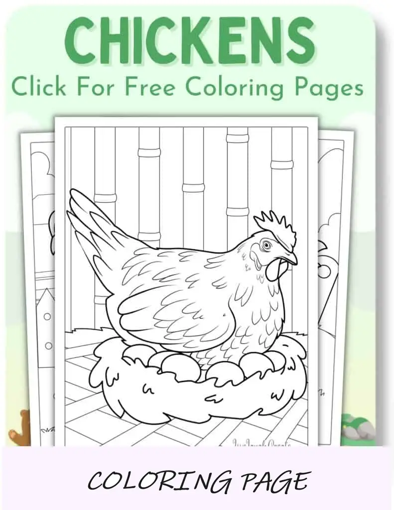 Desenhos para colorir de galinhas_
